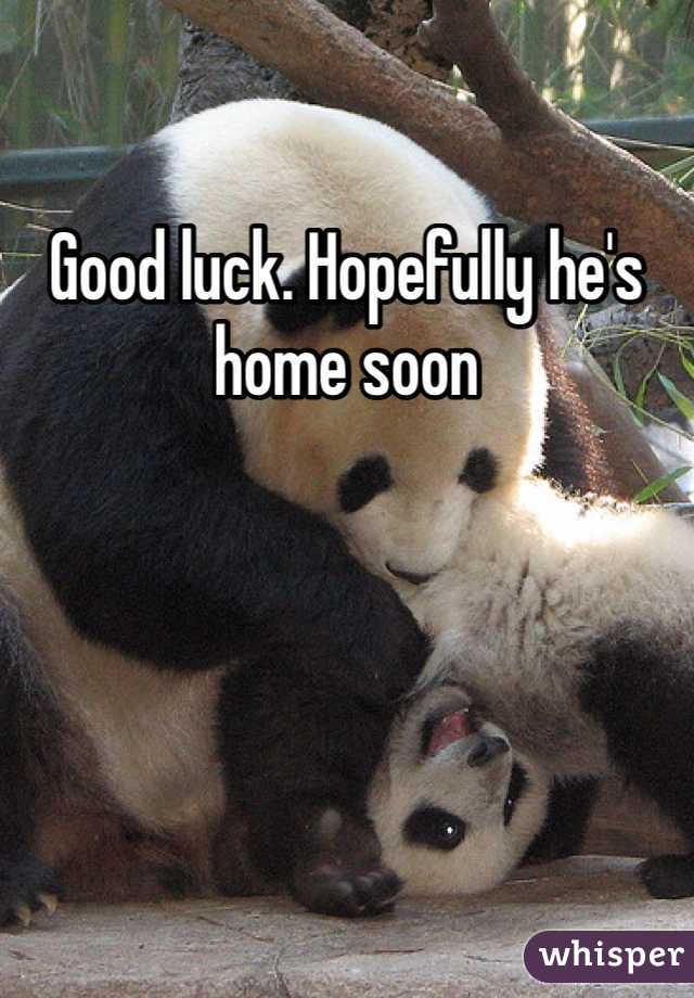 Good luck. Hopefully he's home soon