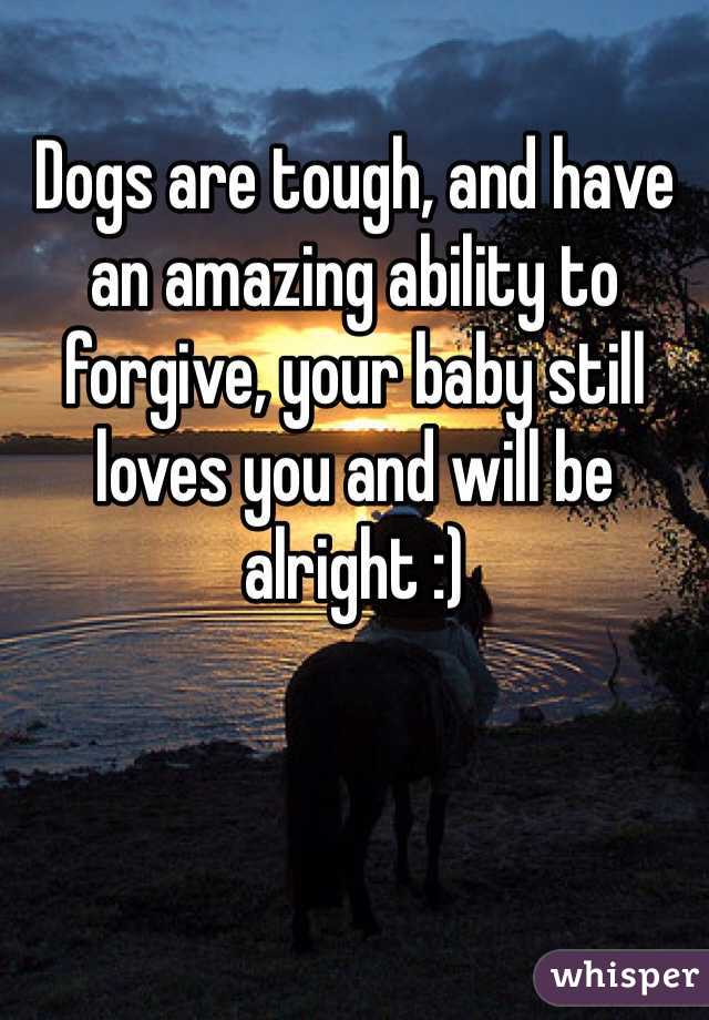 Dogs are tough, and have an amazing ability to forgive, your baby still loves you and will be alright :)