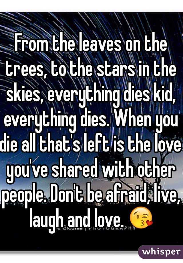 From the leaves on the trees, to the stars in the skies, everything dies kid, everything dies. When you die all that's left is the love you've shared with other people. Don't be afraid, live, laugh and love. 😘