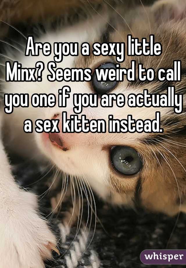 Are you a sexy little
Minx? Seems weird to call you one if you are actually a sex kitten instead.