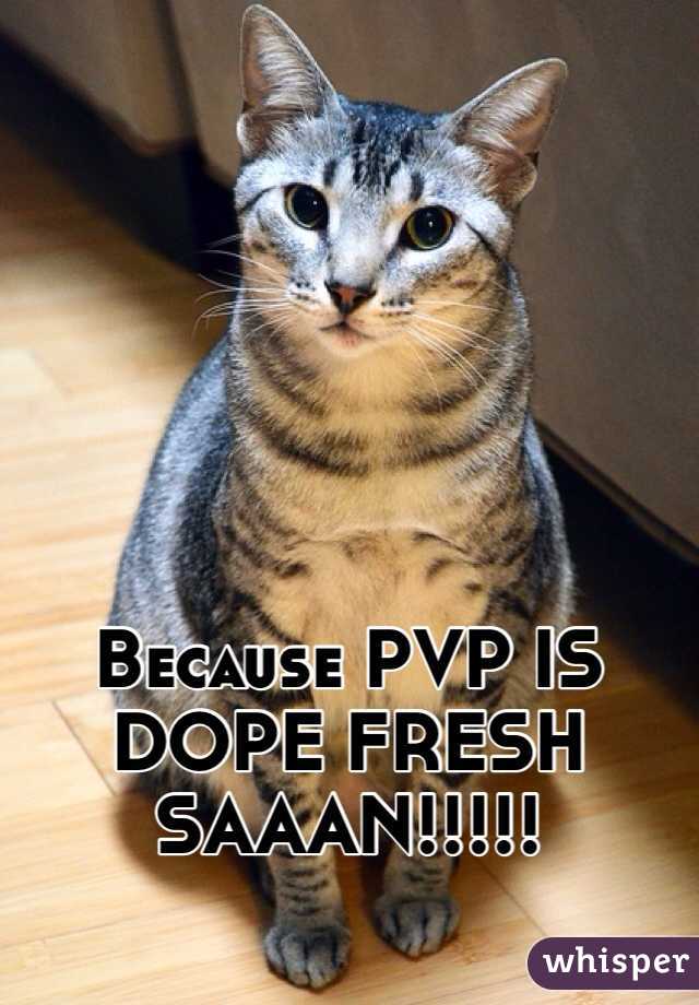 Because PVP IS DOPE FRESH SAAAN!!!!!