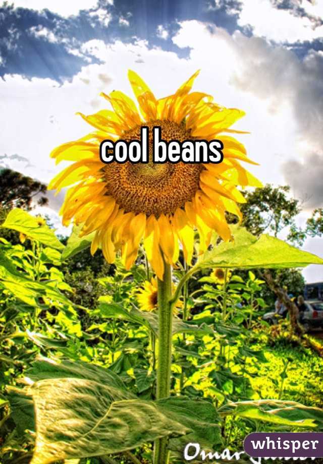 cool beans