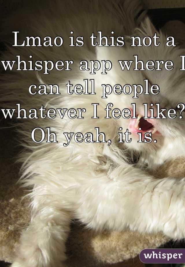 Lmao is this not a whisper app where I can tell people whatever I feel like? Oh yeah, it is. 