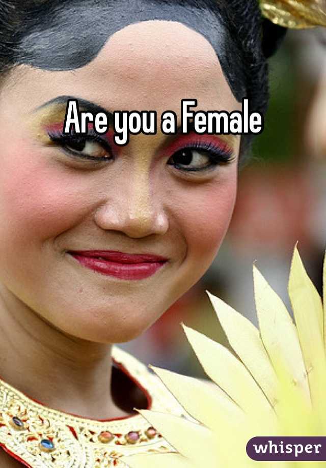 Are you a Female