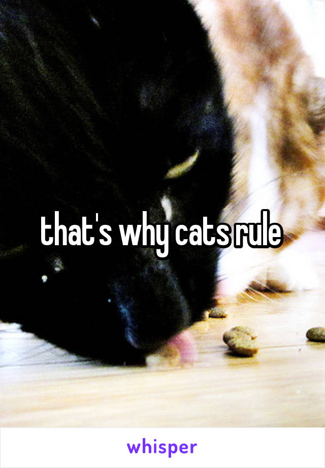that's why cats rule 
