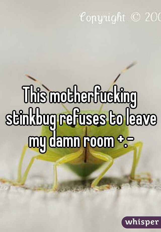 This motherfucking stinkbug refuses to leave my damn room +.-