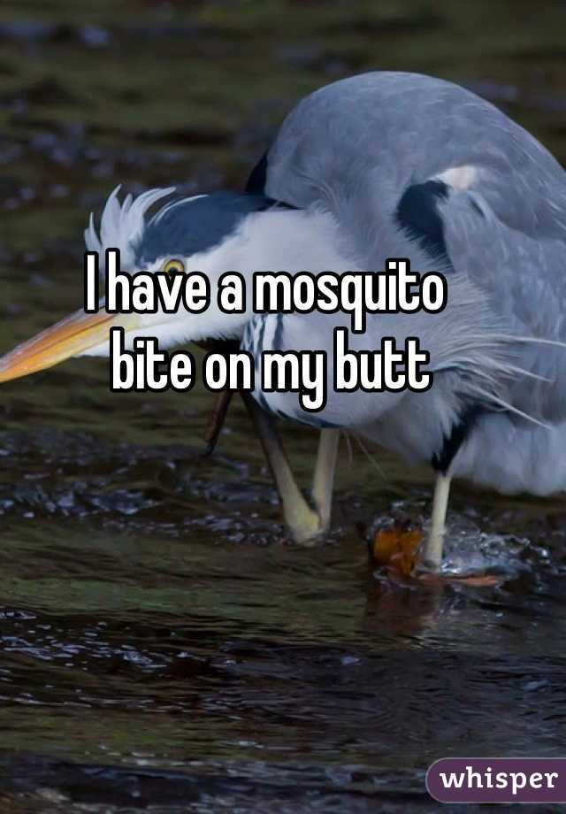 I have a mosquito
 bite on my butt
