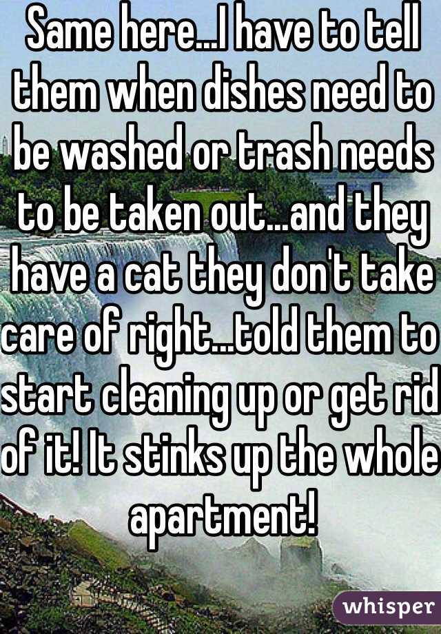 Same here...I have to tell them when dishes need to be washed or trash needs to be taken out...and they have a cat they don't take care of right...told them to start cleaning up or get rid of it! It stinks up the whole apartment!