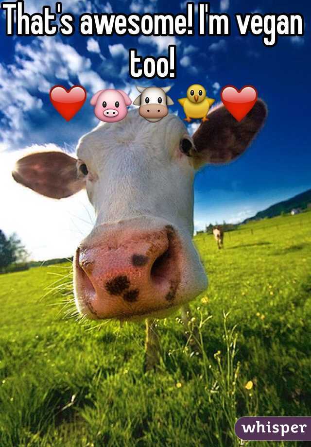 That's awesome! I'm vegan too!
❤️🐷🐮🐥❤️