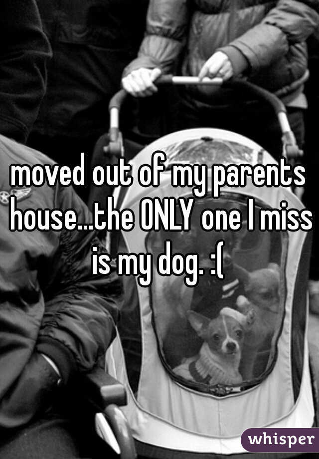 moved out of my parents house...the ONLY one I miss is my dog. :( 