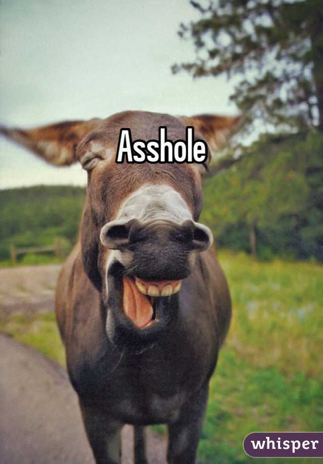 Asshole