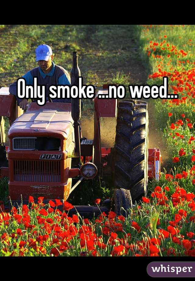 Only smoke ...no weed...