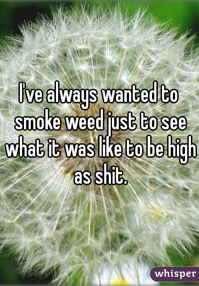 I've always wanted to smoke weed just to see what it was like to be high as shit.