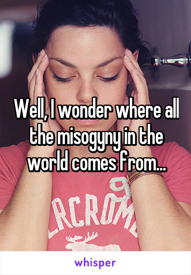 Well, I wonder where all the misogyny in the world comes from...
