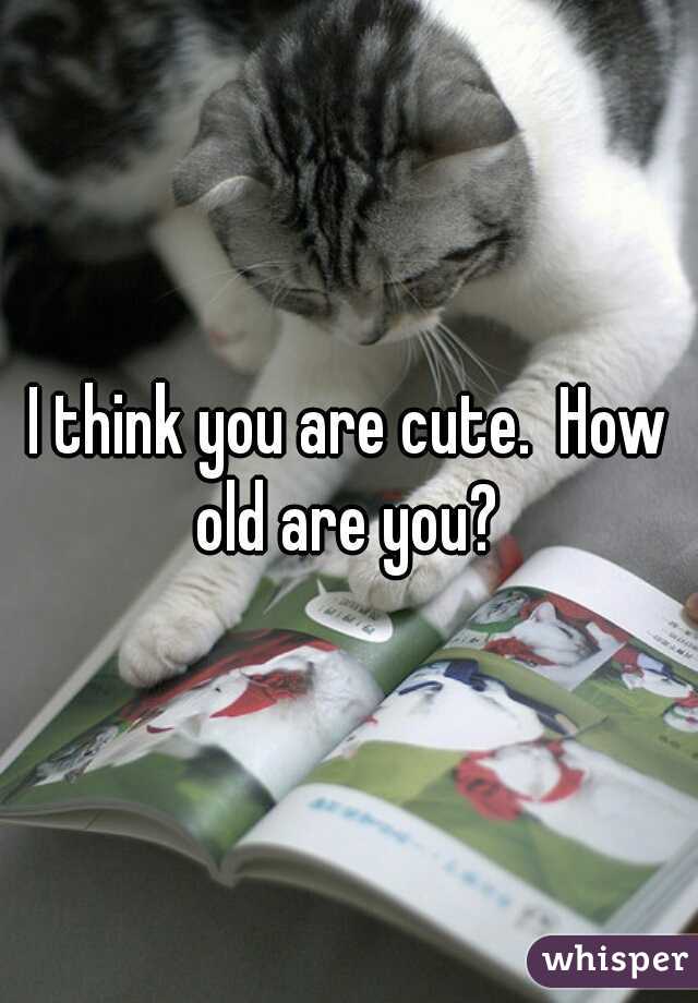 I think you are cute.  How old are you? 