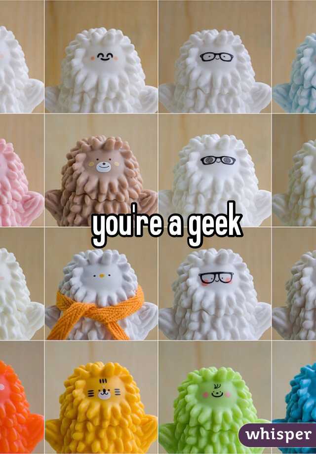 you're a geek