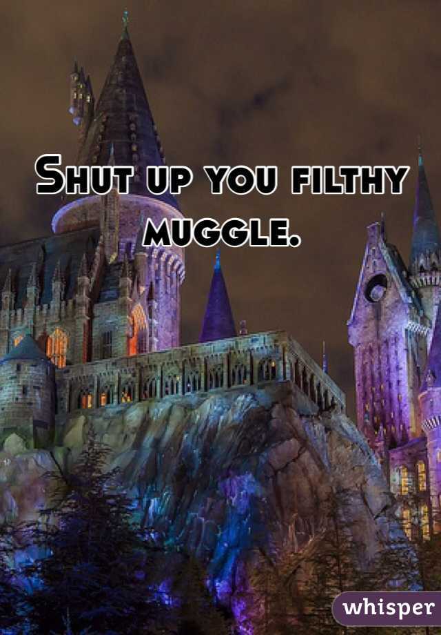 Shut up you filthy muggle. 