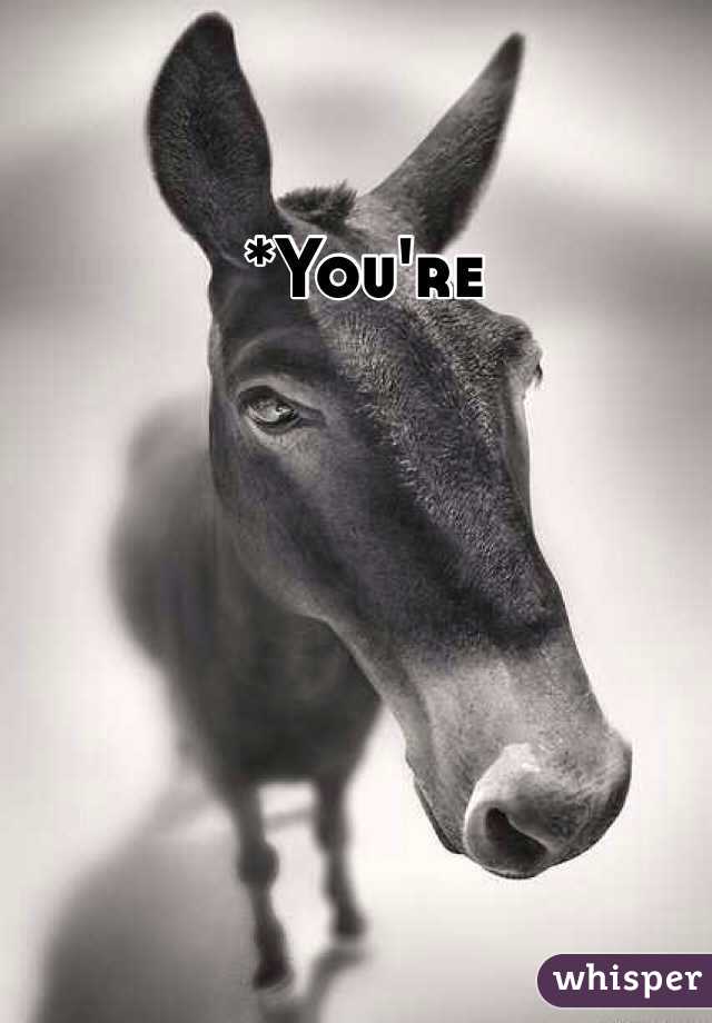 *You're