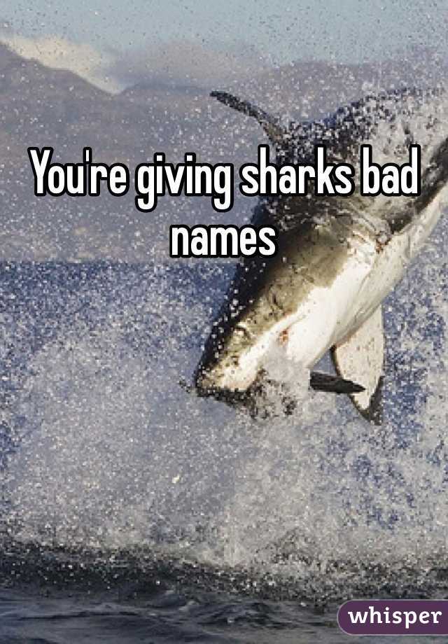 You're giving sharks bad names 
