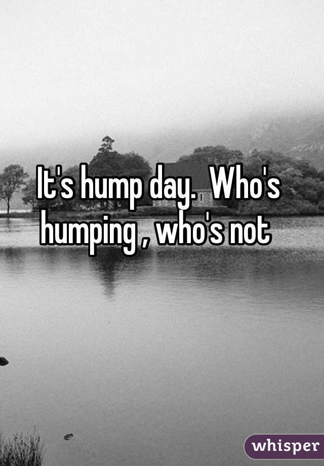 It's hump day.  Who's humping , who's not 