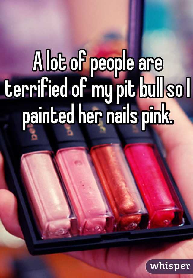A lot of people are terrified of my pit bull so I painted her nails pink. 