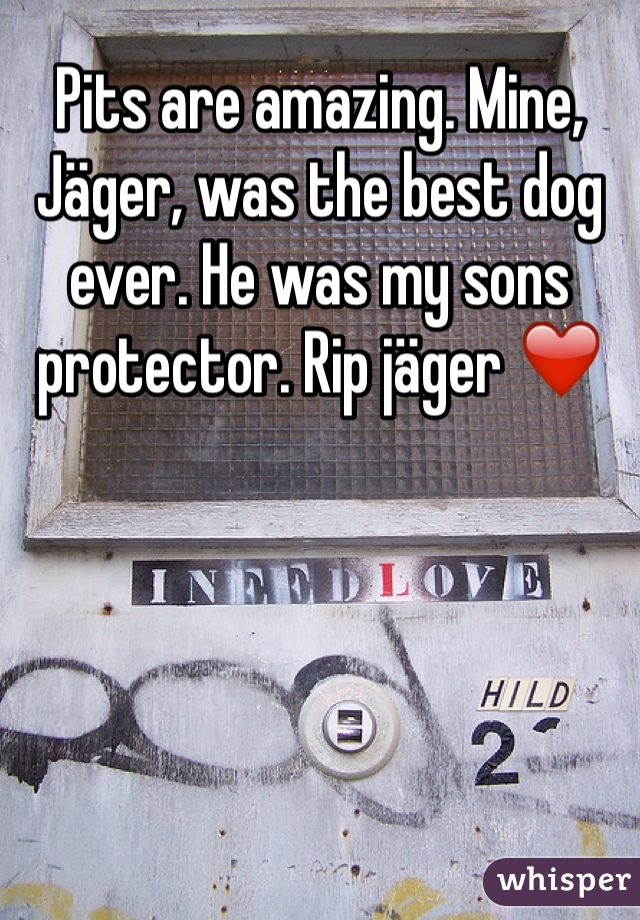 Pits are amazing. Mine, Jäger, was the best dog ever. He was my sons protector. Rip jäger ❤️