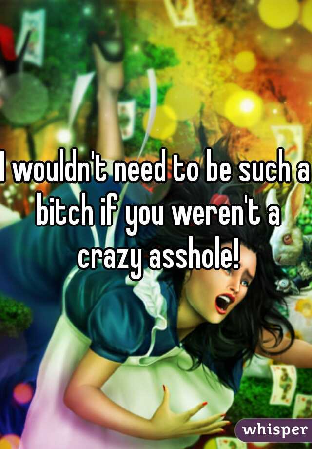 I wouldn't need to be such a bitch if you weren't a crazy asshole!