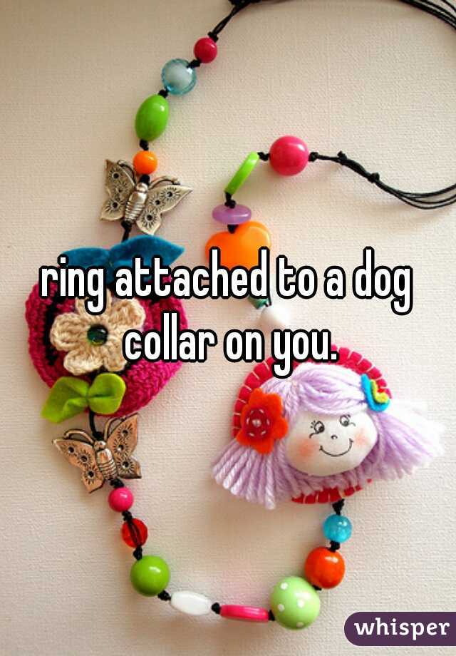 ring attached to a dog collar on you.