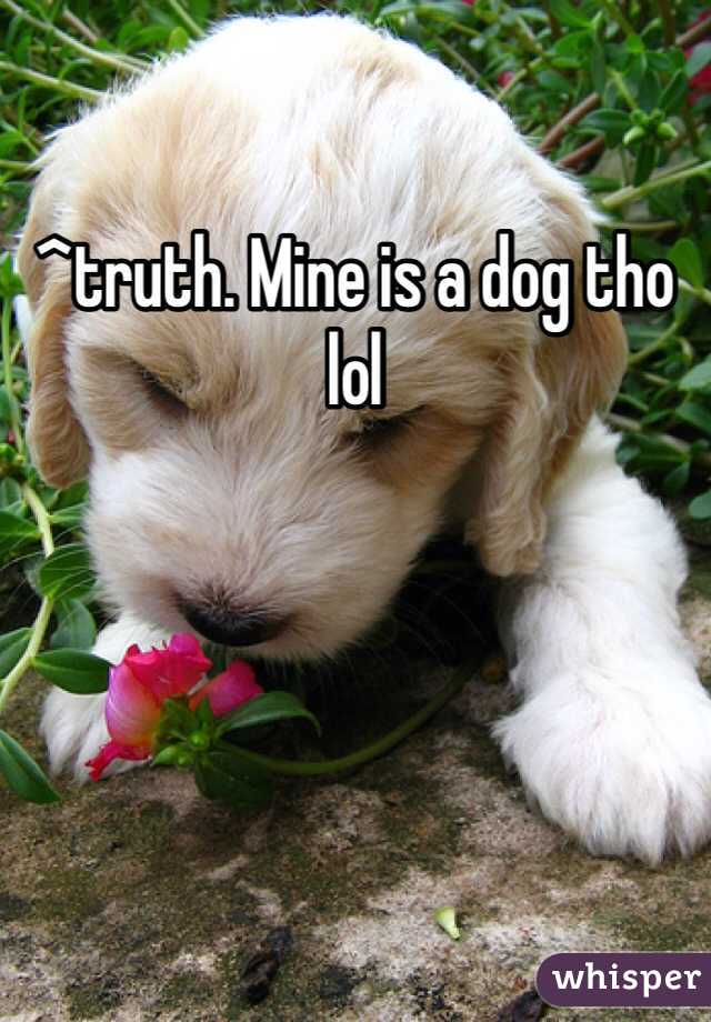 ^truth. Mine is a dog tho lol