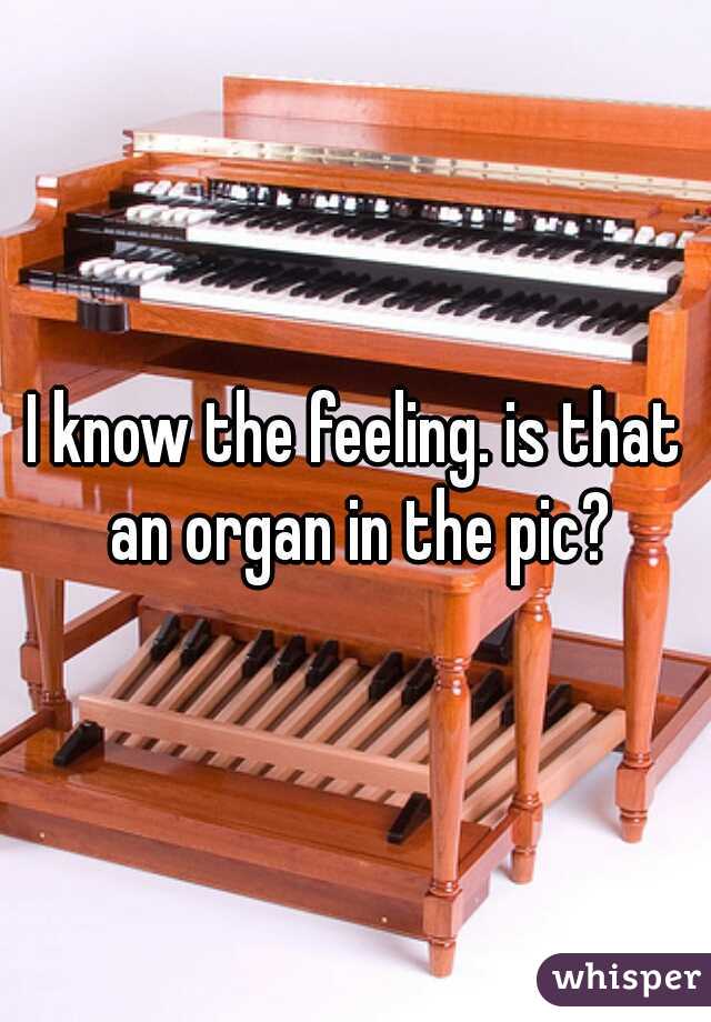 I know the feeling. is that an organ in the pic?