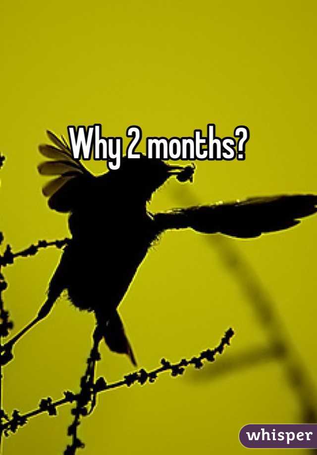 Why 2 months?