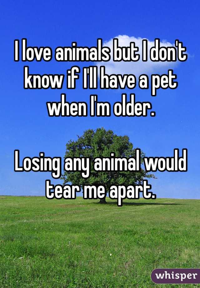 I love animals but I don't know if I'll have a pet when I'm older.

Losing any animal would tear me apart.
