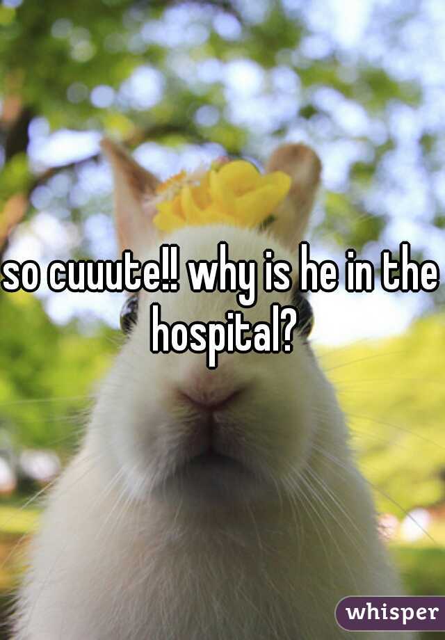 so cuuute!! why is he in the hospital?