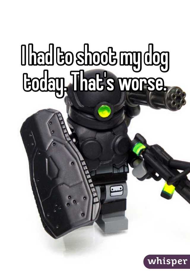 I had to shoot my dog today. That's worse.