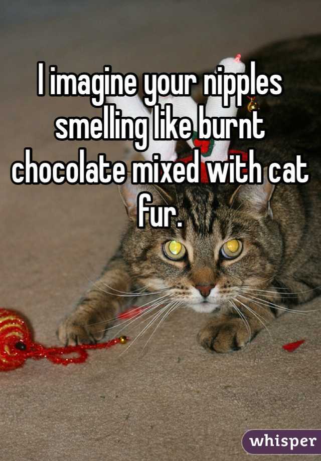 I imagine your nipples smelling like burnt chocolate mixed with cat fur.