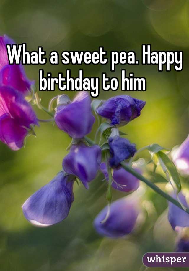 What a sweet pea. Happy birthday to him 