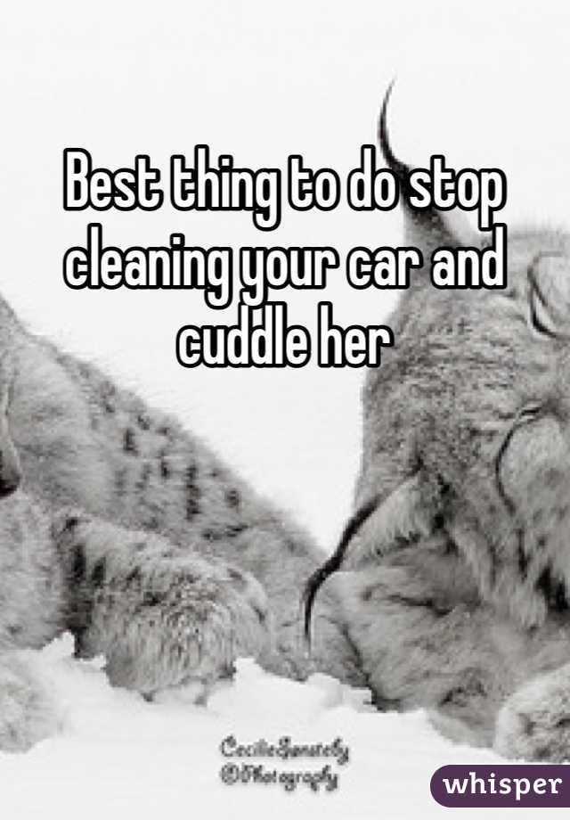 Best thing to do stop cleaning your car and cuddle her