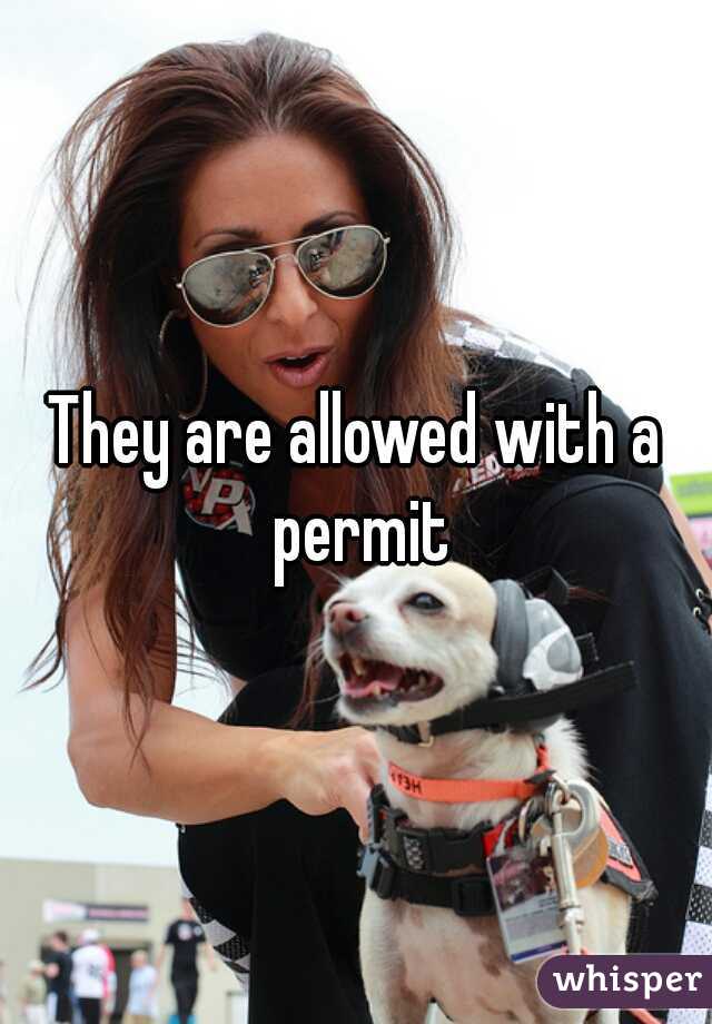 They are allowed with a permit