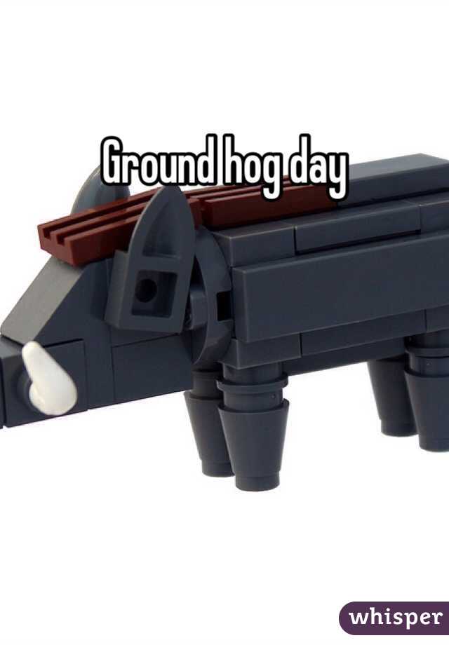 Ground hog day
