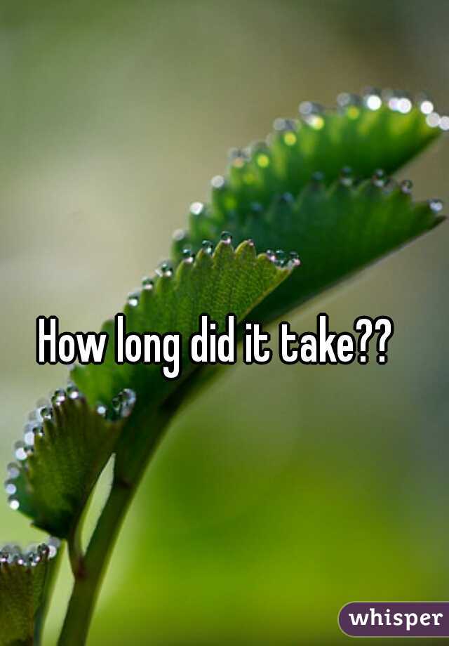 How long did it take??