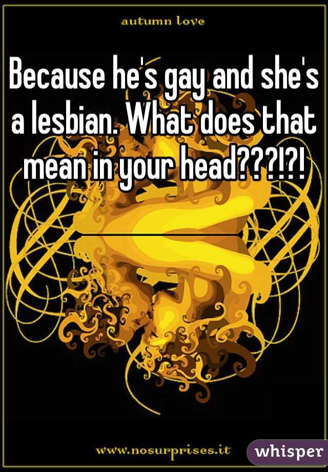 Because he's gay and she's a lesbian. What does that mean in your head???!?!