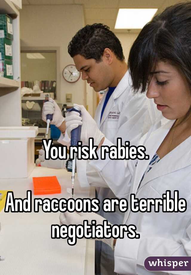 
You risk rabies.

And raccoons are terrible negotiators.