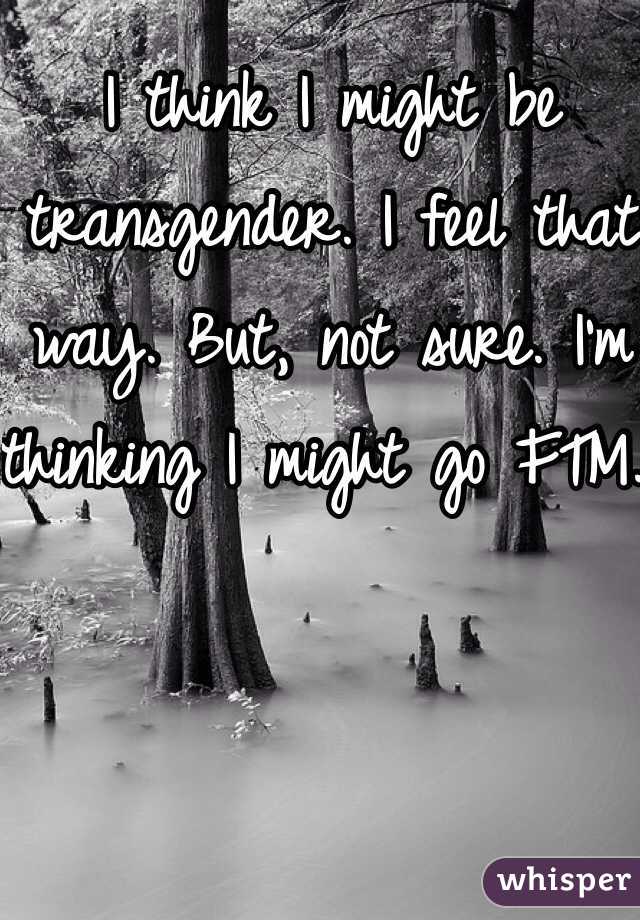 I think I might be transgender. I feel that way. But, not sure. I'm thinking I might go FTM.  