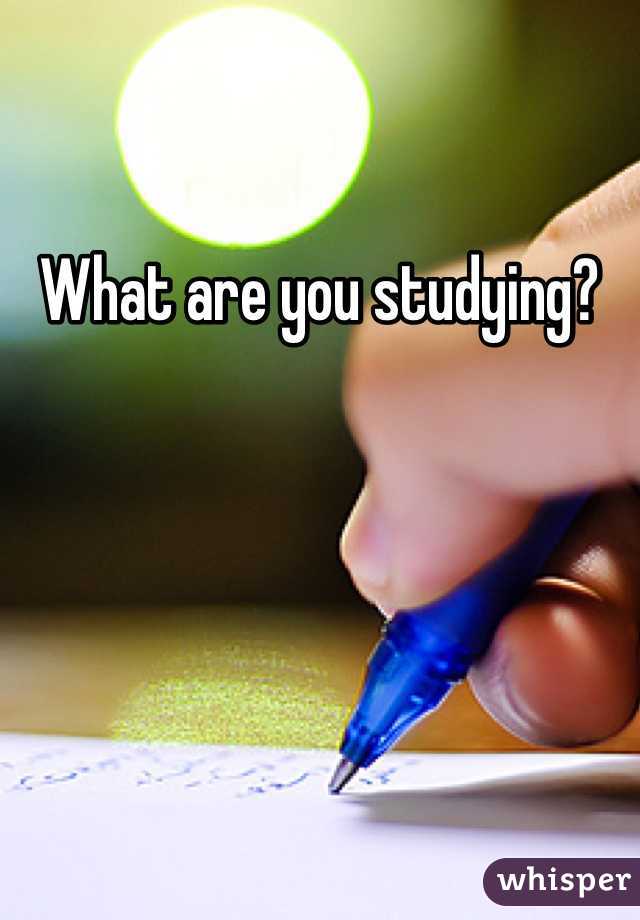 What are you studying?