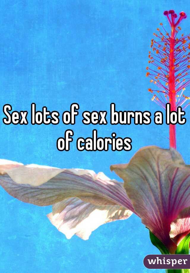 Sex lots of sex burns a lot of calories 