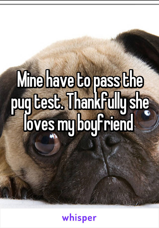 Mine have to pass the pug test. Thankfully she loves my boyfriend 
