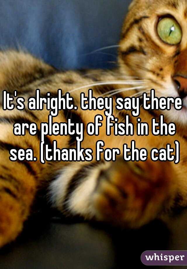 It's alright. they say there are plenty of fish in the sea. (thanks for the cat)