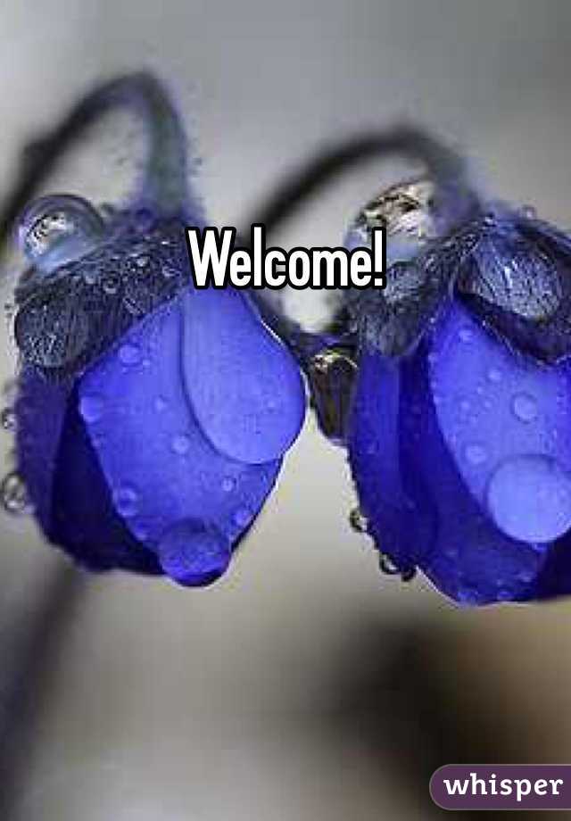 Welcome!