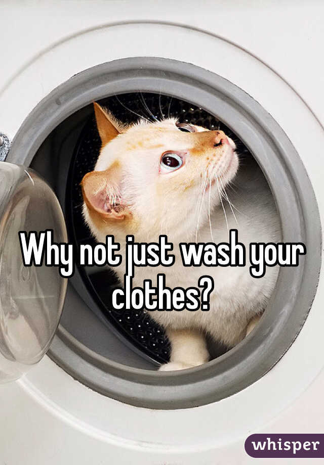 Why not just wash your clothes?