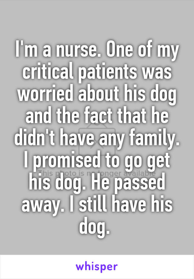 I'm a nurse. One of my critical patients was worried about his dog and the fact that he didn't have any family. I promised to go get his dog. He passed away. I still have his dog. 